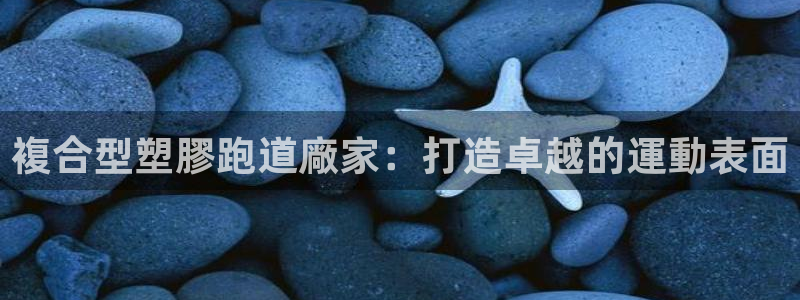 红足1一世：複合型塑膠跑道廠家：打造卓越的運動表面
