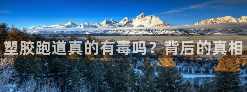 红足网足球直播：塑胶跑道真的有毒吗？背后的真相