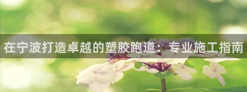 红足一1世皇冠登录：在宁波打造卓越的塑胶跑道：专业施工指南