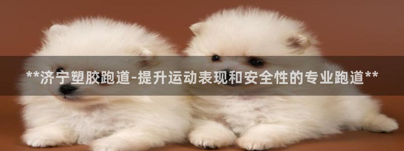666814红·足一世比分：**济宁塑胶跑道-提升运动表现和安全性的专业跑道**