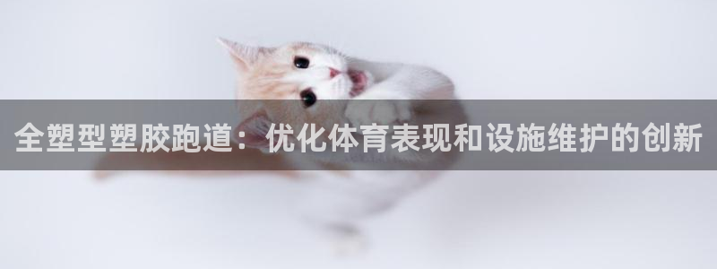 333814红足1世：全塑型塑胶跑道：优化体育表现和设施维护的创新