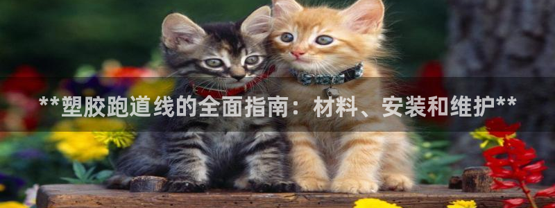 红足1世足球：**塑胶跑道线的全面指南：材料、安装和维护**