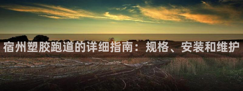 百度红足一1是什么样子的：宿州塑胶跑道的详细指南：规格、安装和维护