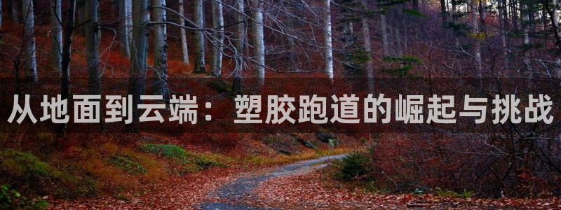 红足一1世手机开奖：从地面到云端：塑胶跑道的崛起与挑战