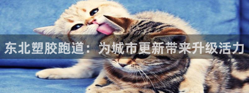 红足一一世：东北塑胶跑道：为城市更新带来升级活力