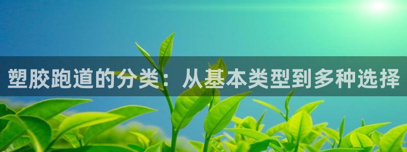 红世一足球比分：塑胶跑道的分类：从基本类型到多种选择