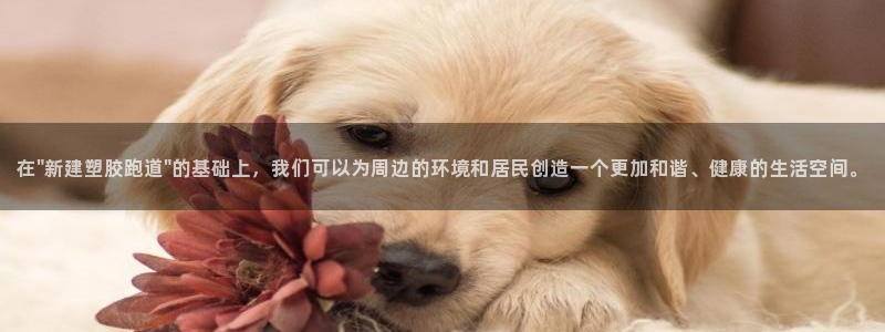 红足一1世比分：在\
