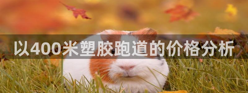 百度红足一1是什么样子的：以400米塑胶跑道的价格分析