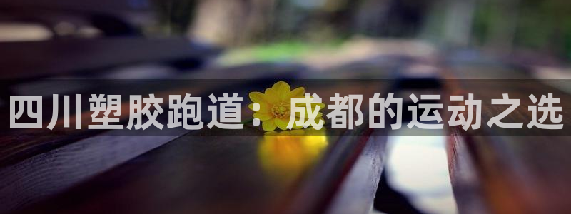 红足1一世 2站：四川塑胶跑道：成都的运动之选