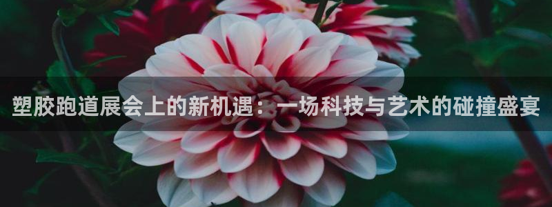 红足一1世手机版赛果：塑胶跑道展会上的新机遇：一场科技与艺术的碰撞盛宴