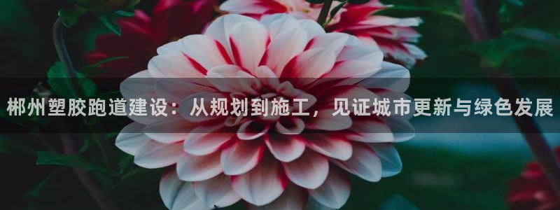 红足一1世皇冠登录：郴州塑胶跑道建设：从规划到施工，见证城市更新与绿色发展