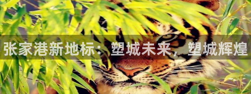 红足一1世皇冠地址：张家港新地标：塑城未来，塑城辉煌