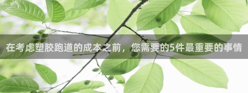 红足1世足球比分网址：在考虑塑胶跑道的成本之前，您需要的5件最重要的事情