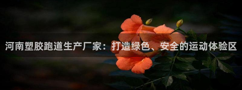 红足一1世皇冠地址：河南塑胶跑道生产厂家：打造绿色、安全的运动体验区