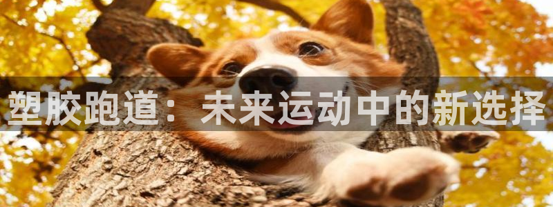 红足1世手机下载：塑胶跑道：未来运动中的新选择