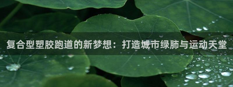 红足1世开奖预测：复合型塑胶跑道的新梦想：打造城市绿肺与运动天堂