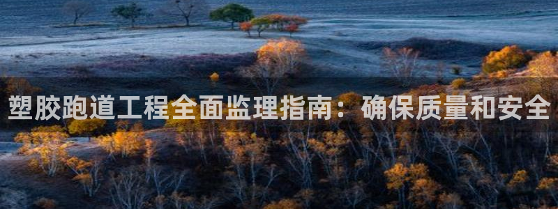 红足1世足球网址：塑胶跑道工程全面监理指南：确保质量和安全