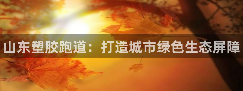 55814红足1世：山东塑胶跑道：打造城市绿色生态屏障