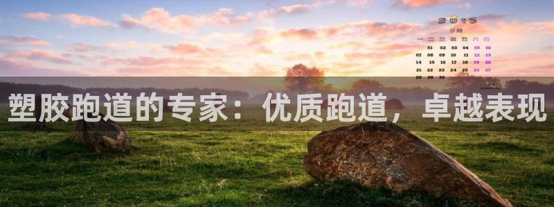 红足一1世平台：塑胶跑道的专家：优质跑道，卓越表现