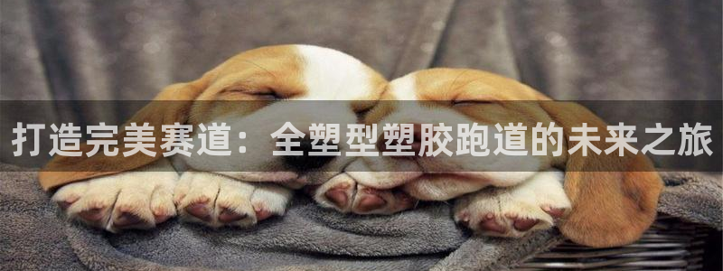 红足1世足球网址大全：打造完美赛道：全塑型塑胶跑道的未来之旅