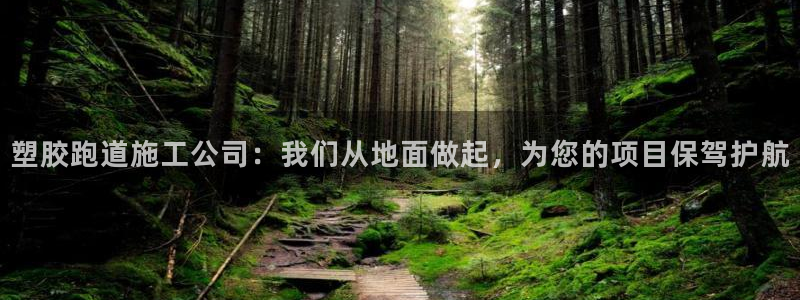 红足网足球直播：塑胶跑道施工公司：我们从地面做起，为您的项目保驾护航