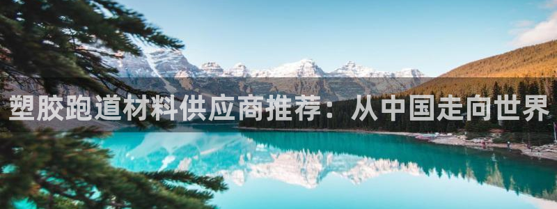 红足一1世77814：塑胶跑道材料供应商推荐：从中国走向世界