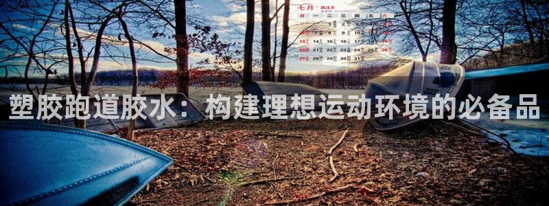 红足一1世66814：塑胶跑道胶水：构建理想运动环境的必备品