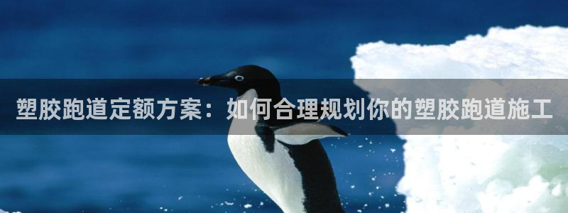 红足1世足球比分：塑胶跑道定额方案：如何合理规划你的塑胶跑道施工
