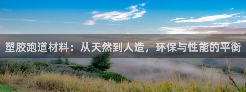 4633333开奖结果4176一点红：塑胶跑道材料：从天然到人造，环保与性能的平衡