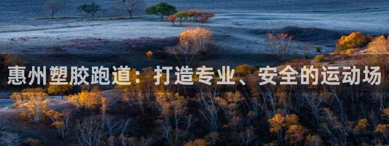 77814红足1世：惠州塑胶跑道：打造专业、安全的运动场