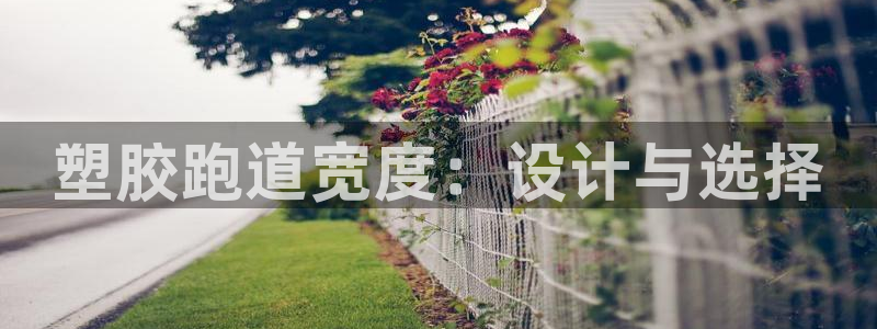 红足1世1站：塑胶跑道宽度：设计与选择
