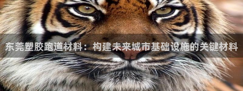 百度红足一1是什么样子的：东莞塑胶跑道材料：构建未来城市基础设施的关键材料