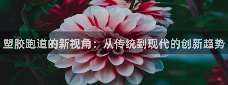 百度红足一1是为什么：塑胶跑道的新视角：从传统到现代的创新趋势