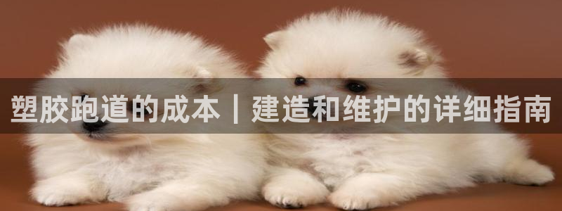 66814红足：塑胶跑道的成本｜建造和维护的详细指南