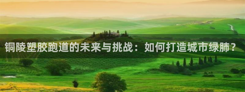 红足一1世77814：铜陵塑胶跑道的未来与挑战：如何打造城市绿肺？