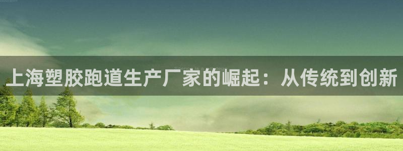百度红足一1是为什么：上海塑胶跑道生产厂家的崛起：从传统到创新