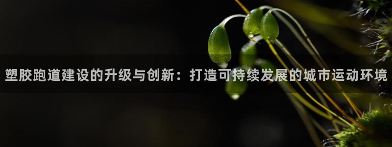 百度红足一1是为什么：塑胶跑道建设的升级与创新：打造可持续发展的城市运动环境