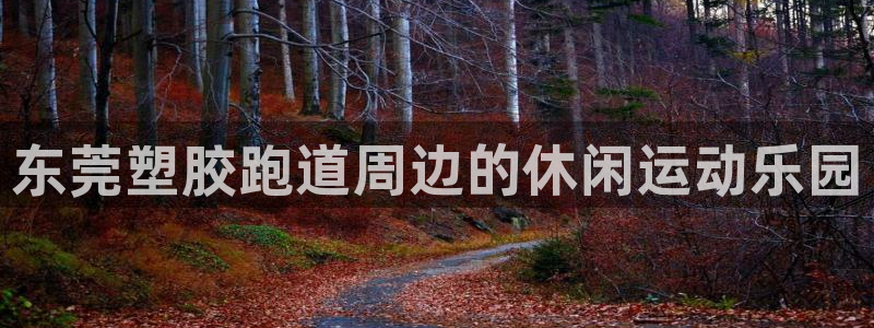 红足网足球直播：东莞塑胶跑道周边的休闲运动乐园