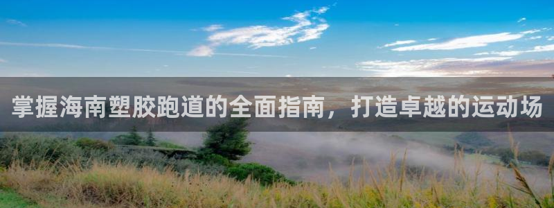 333814红足1世：掌握海南塑胶跑道的全面指南，打造卓越的运动场