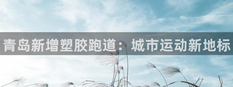 777814红·足一世比分：青岛新增塑胶跑道：城市运动新地标