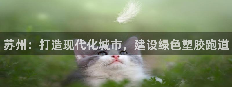 红足1一世开奖版：苏州：打造现代化城市，建设绿色塑胶跑道