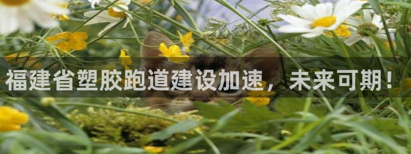 777814红·足一世比分：福建省塑胶跑道建设加速，未来可期！