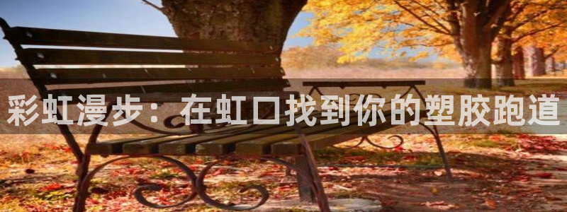 红足网足球直播：彩虹漫步：在虹口找到你的塑胶跑道