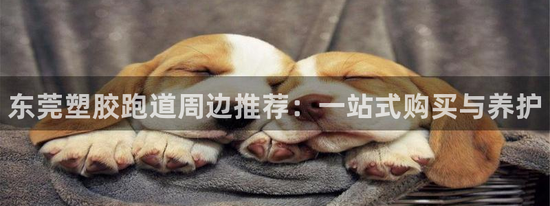 红足一1世666814最新结果：东莞塑胶跑道周边推荐：一站式购买与养护