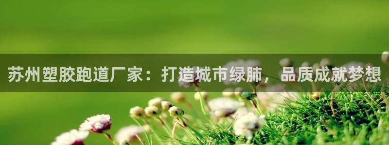 红足一：苏州塑胶跑道厂家：打造城市绿肺，品质成就梦想