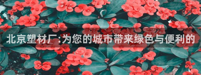777814红·足一世比分篮球：北京塑材厂:为您的城市带来绿色与便利的