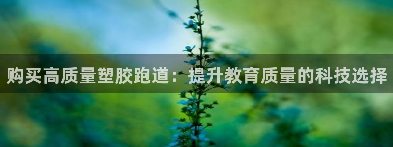 红姐现场直播开奖记录：购买高质量塑胶跑道：提升教育质量的科技选择