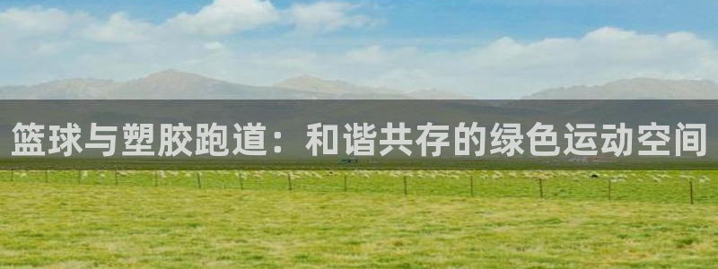 333814红·足一世比分：篮球与塑胶跑道：和谐共存的绿色运动空间