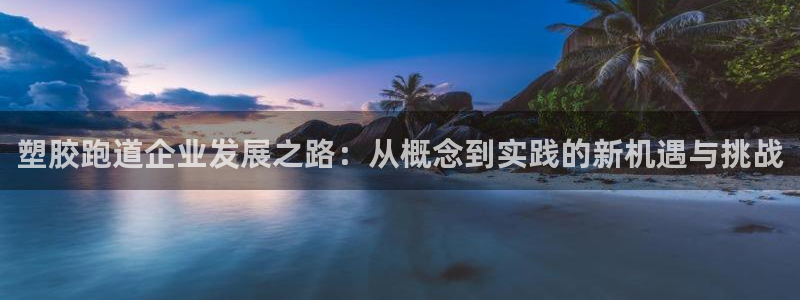 红足一1世官网足球推荐真人：塑胶跑道企业发展之路：从概念到实践的新机遇与挑战