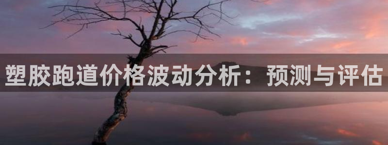 666814红·足一世比分：塑胶跑道价格波动分析：预测与评估